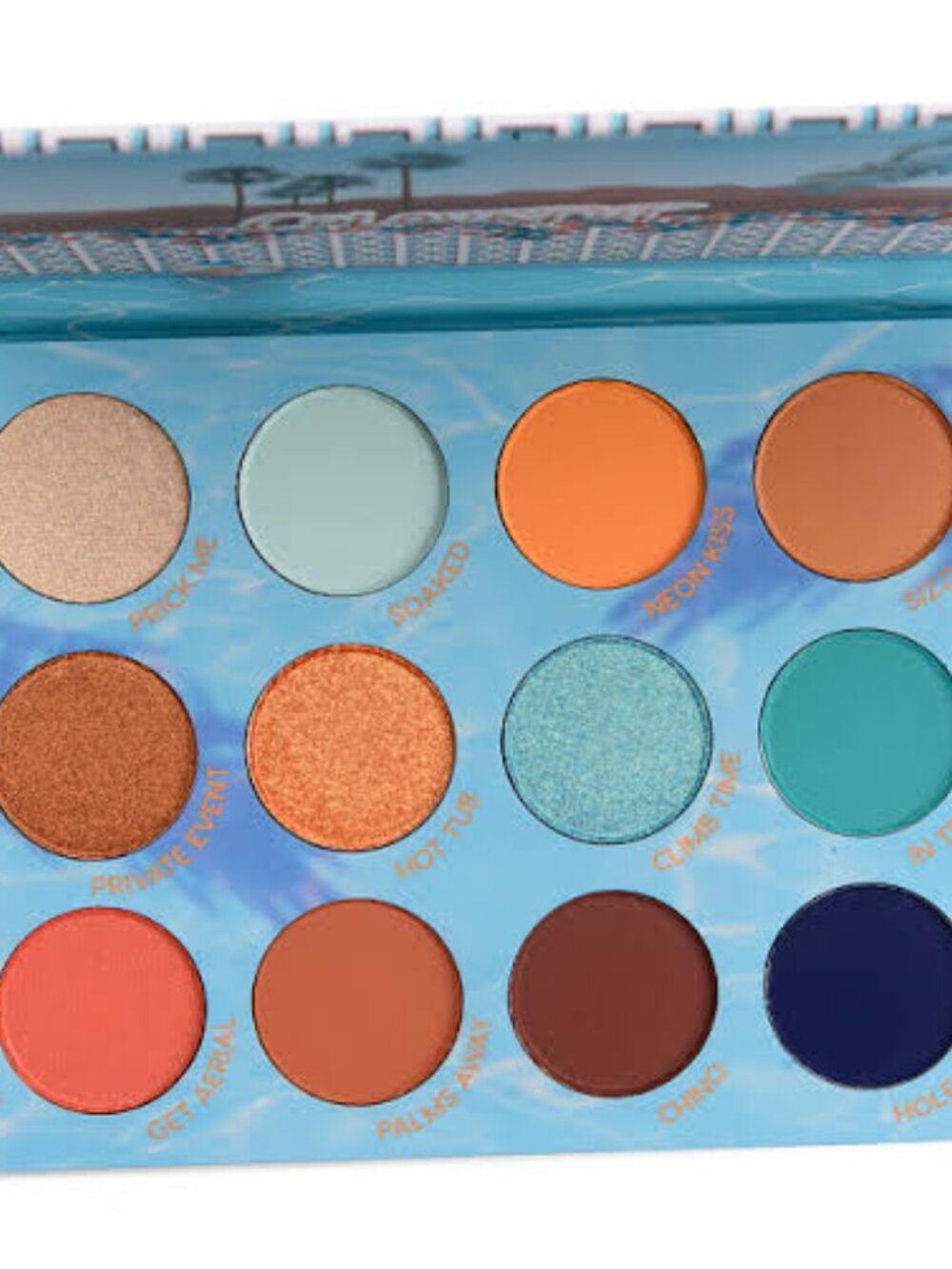 NEW *LIMITED EDITION* Colourpop In The Springs Palette